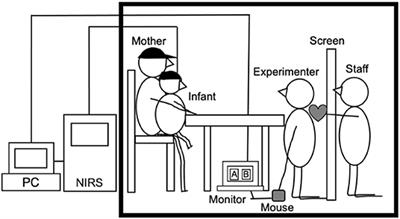 Infants' Prefrontal Hemodynamic Responses and Functional Connectivity During Joint Attention in an Interactive-Live Setting